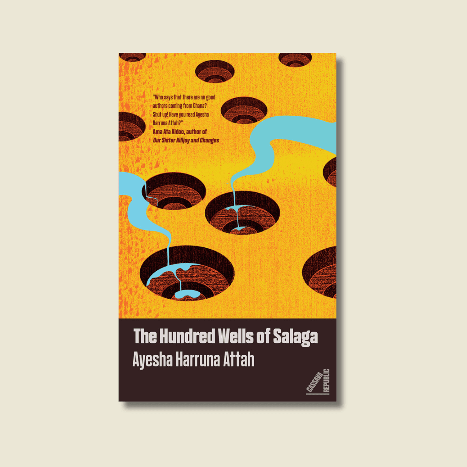 THE HUNDRED WELLS OF SALAGA BY AYESHA HARRUNA ATTAH