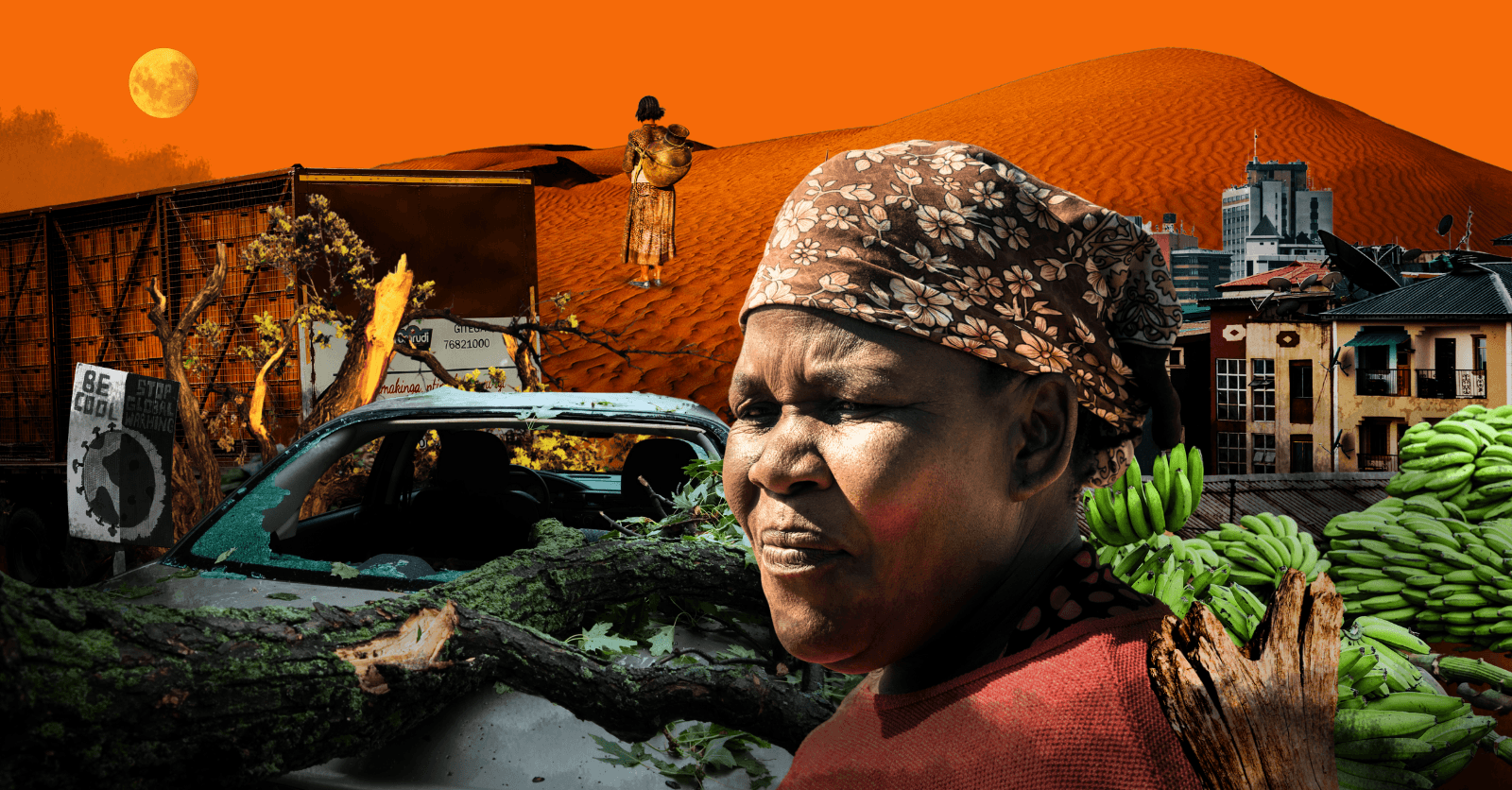 Africa’s Climate Future in a Fragmented Multipolar World