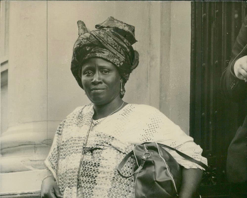 Who Was Tanimowo Ogunlesi?