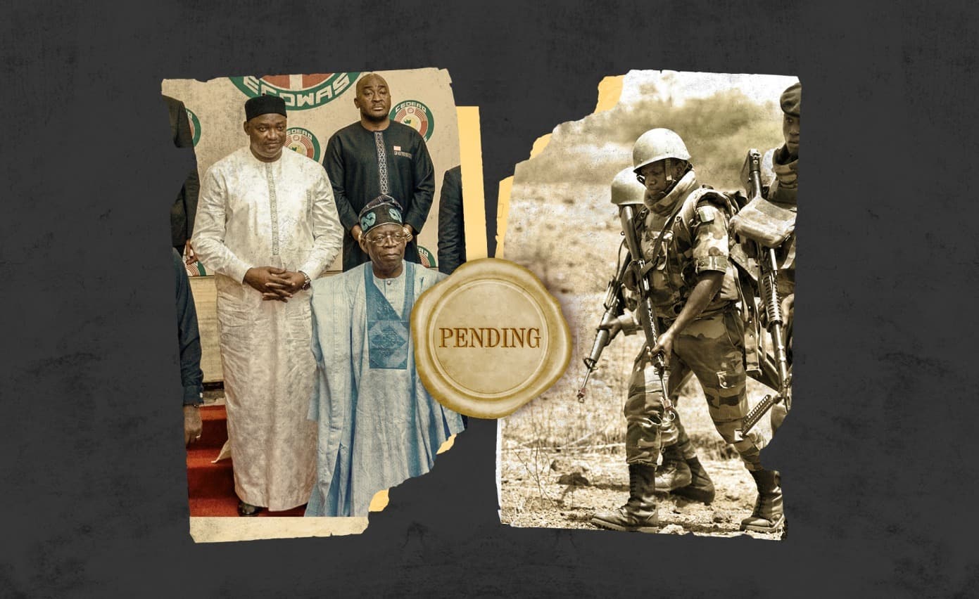 To Intervene or Not to Intervene in Niger?