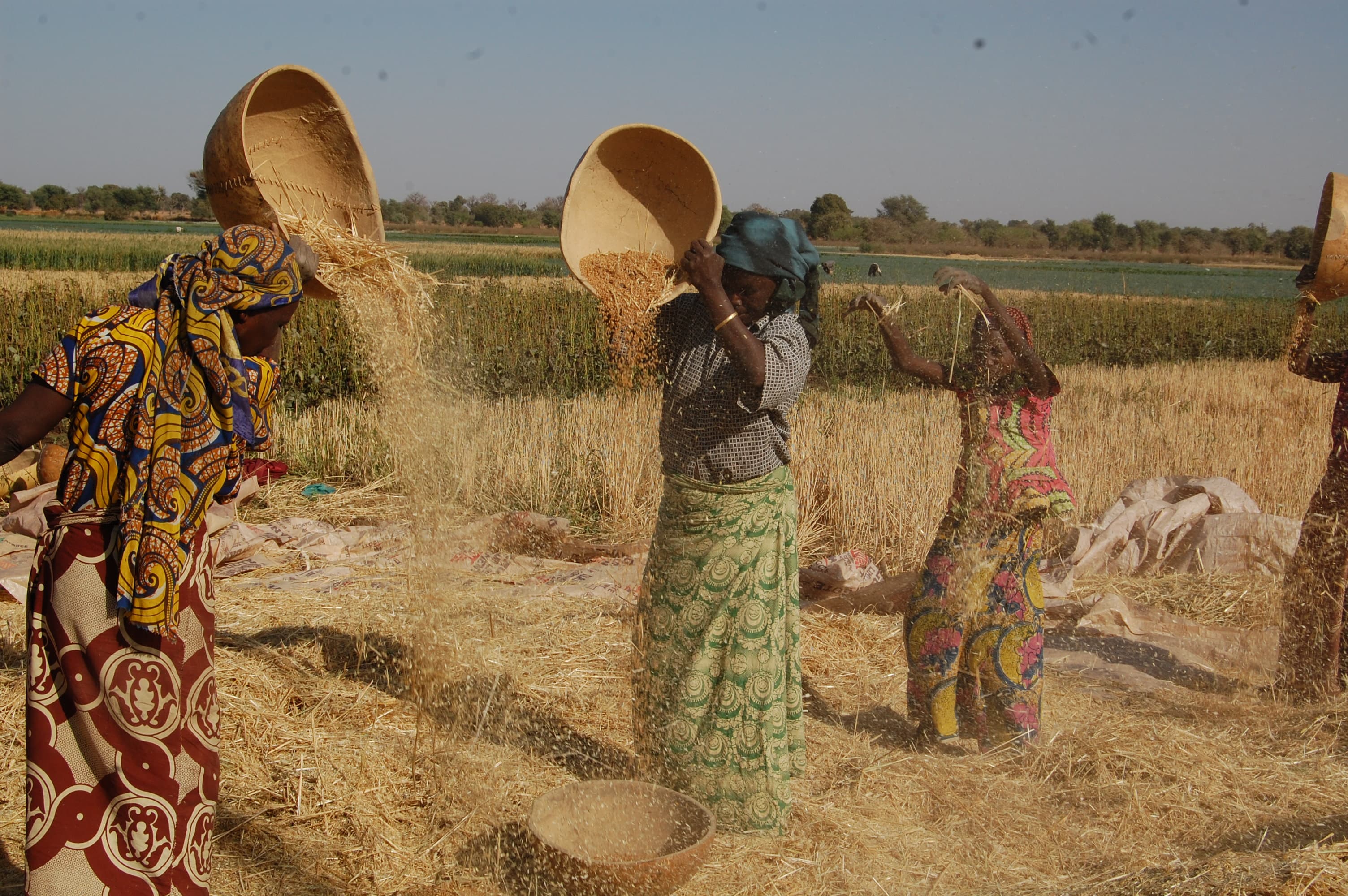Climate Change and Food Security