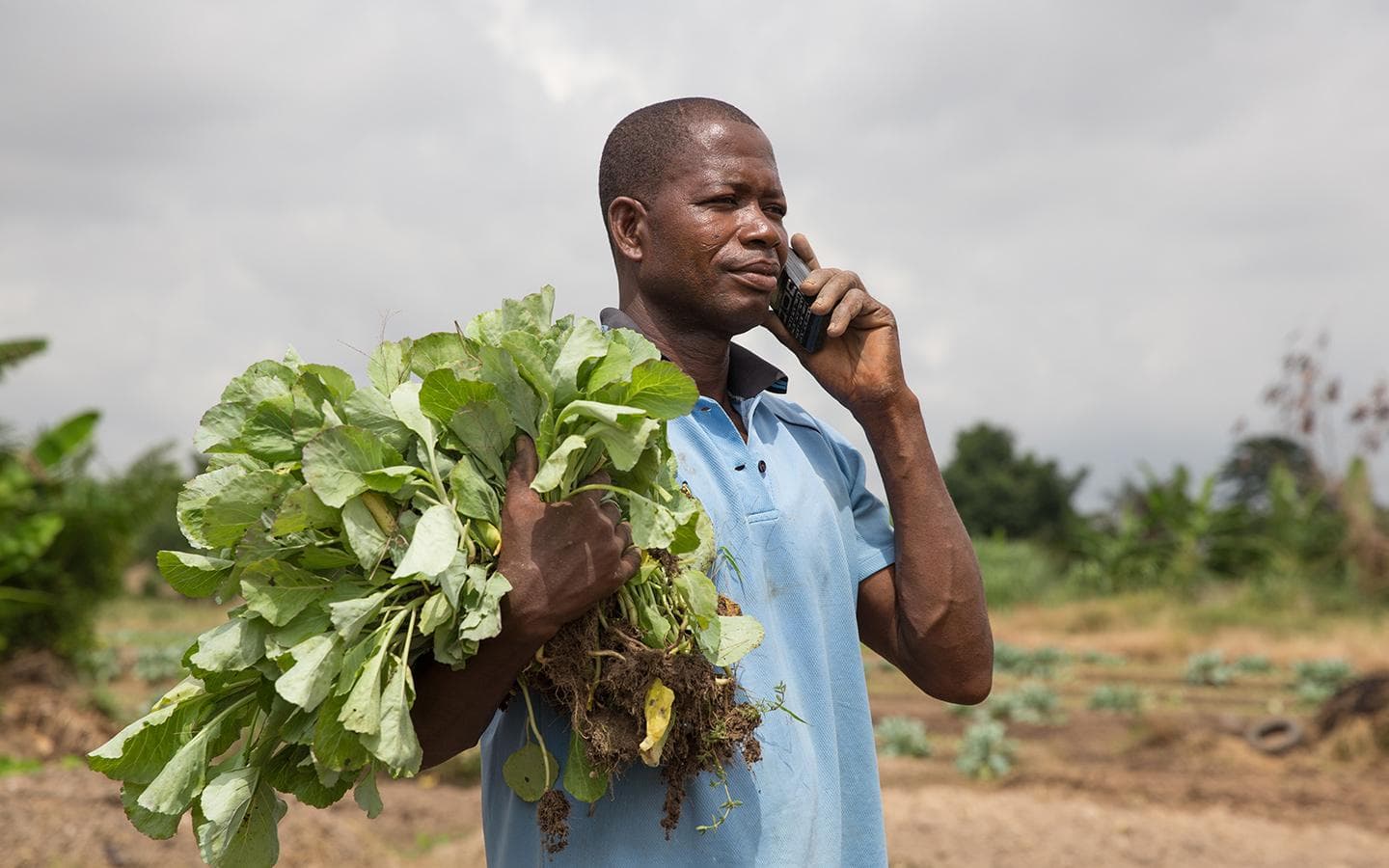 Nigeria and the Digital Divide