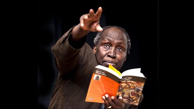 Who is the African Writer?
