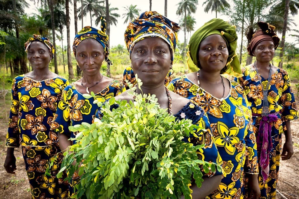 Gendering Social Protection