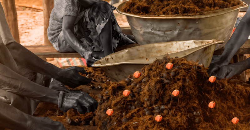 Nigeria Was Once the World’s Largest Palm Oil Producer—What Happened?