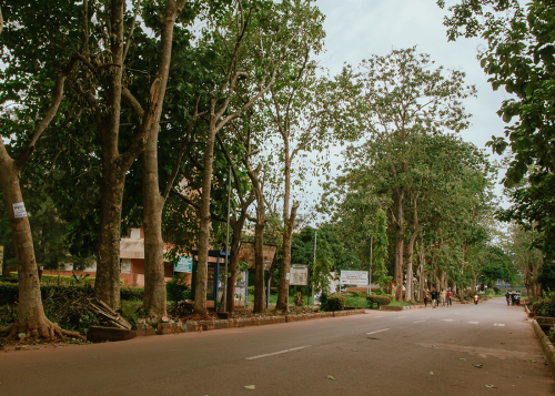Faculty of Engineering with a shot of the road