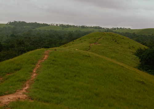 On a hill